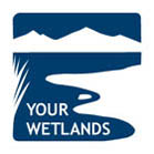 Your Wetlands